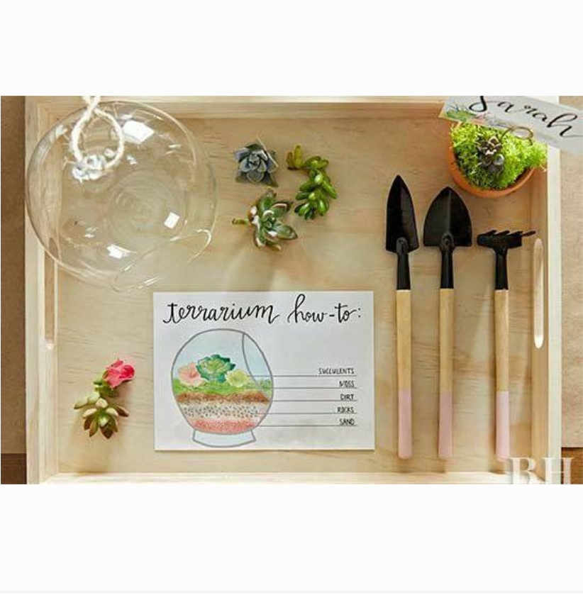 Terrarium Workshop